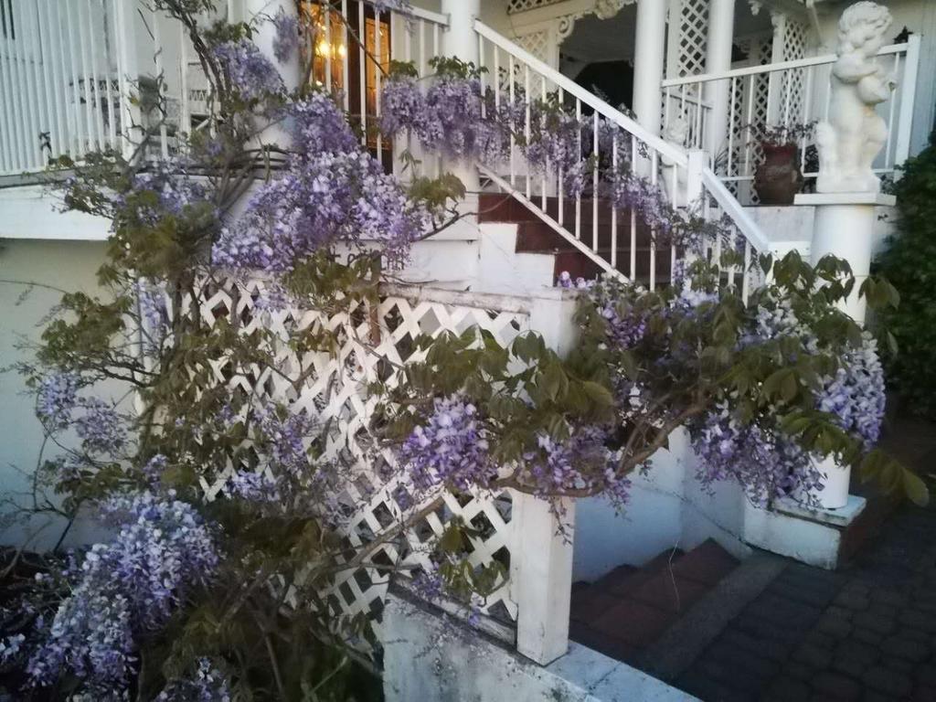 Vancouver Island Castle Cove Inn Chemainus Exterior foto