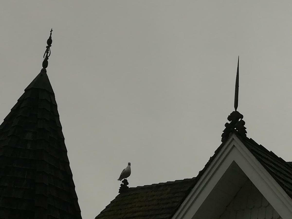 Vancouver Island Castle Cove Inn Chemainus Exterior foto